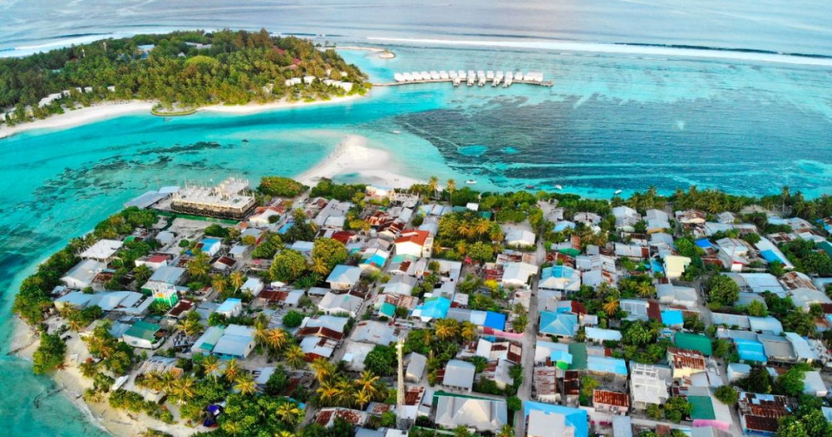 ހަތަރުމަހުގެ ކުއްޖާގެ ހަށިގަނޑު ޕޯސްޓްމޯޓަމް ހަދަން ފޮނުވައިފި