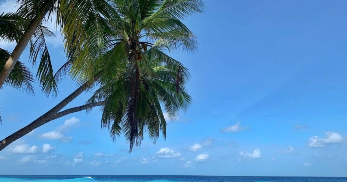 މާޅޮސް ތިޖޫރީން ބައިމިލިއަނެއްހާ ރުފިޔާ ގެއްލިއްޖެ
