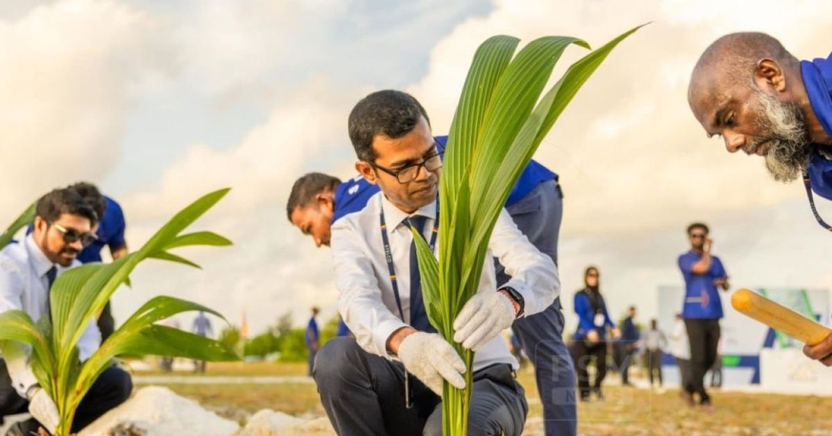 ސްޓެލްކޯއިން 50،000 ގަސް އިންދައިފި