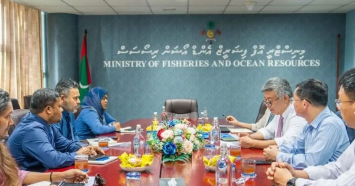 މެރިކަލްޗާ ދާއިރާއިން ތަމްރީނުތައް ހިންގުމަށް މަޝްވަރާ ކޮށްފި