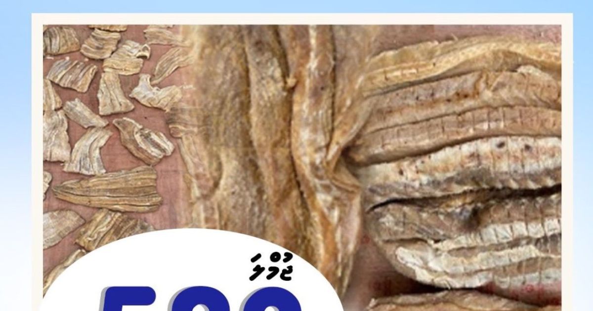 ވަގަށް ބޭރުކުރަން އުޅުނު މިޔަރާއި މަޑިމަސް ހިފަހައްޓައިފި