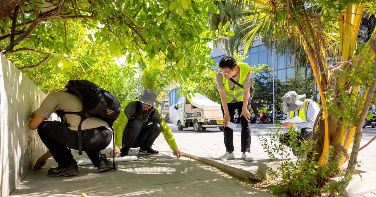 މާލޭގެ މަގުތައް ހަދާނީ ދާއިމީ ހައްލު ލިބޭގޮތަށް