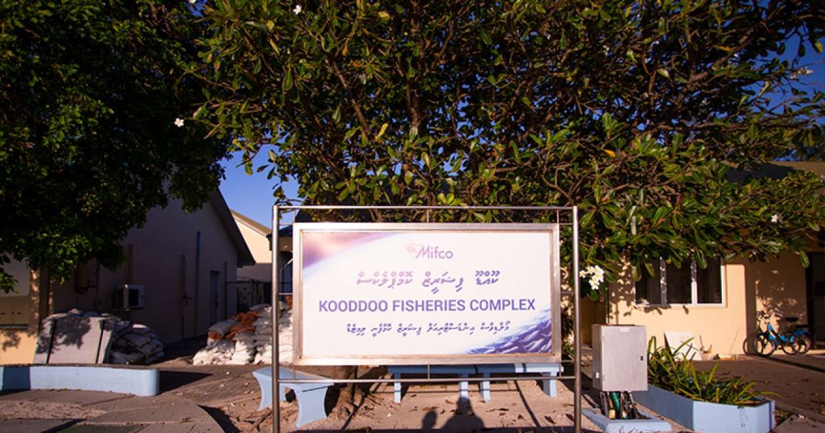 ކޫއްޑޫގެ ކެޕޭސިޓީ އިތުރުކުރުމުގެ ޢަމަލީ މަސައްކަތް ފަށަނީ