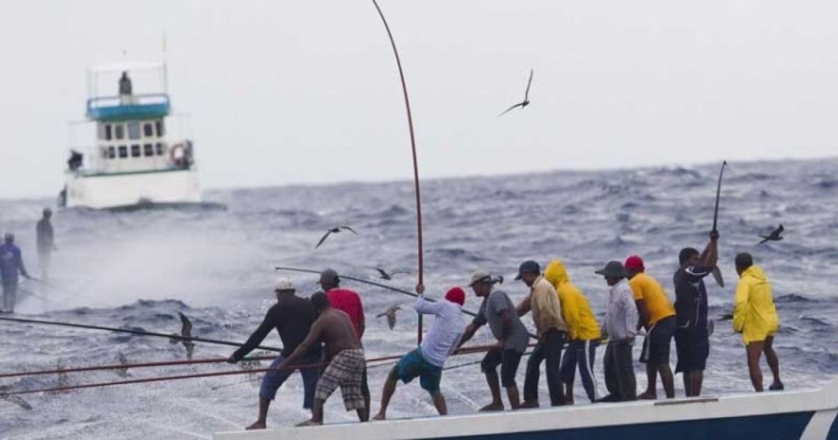 މަސް ފިނިކުރާ ނިޒާމަށް ލޯނު އަލުން ހުޅުވާލައިފި