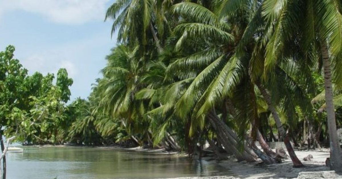 "އެންމެ ޙާލަތު ދެރައީ ރަތަފަންދޫ ބަނދަރު"