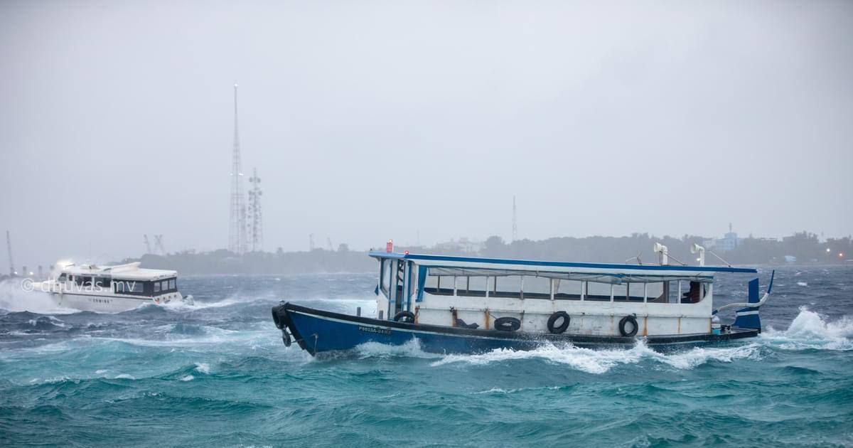 މުޅި ރާއްޖެއަށް ނެރުނު ހުދު ސަމާލު ދިގު ދަންމާލައިފި