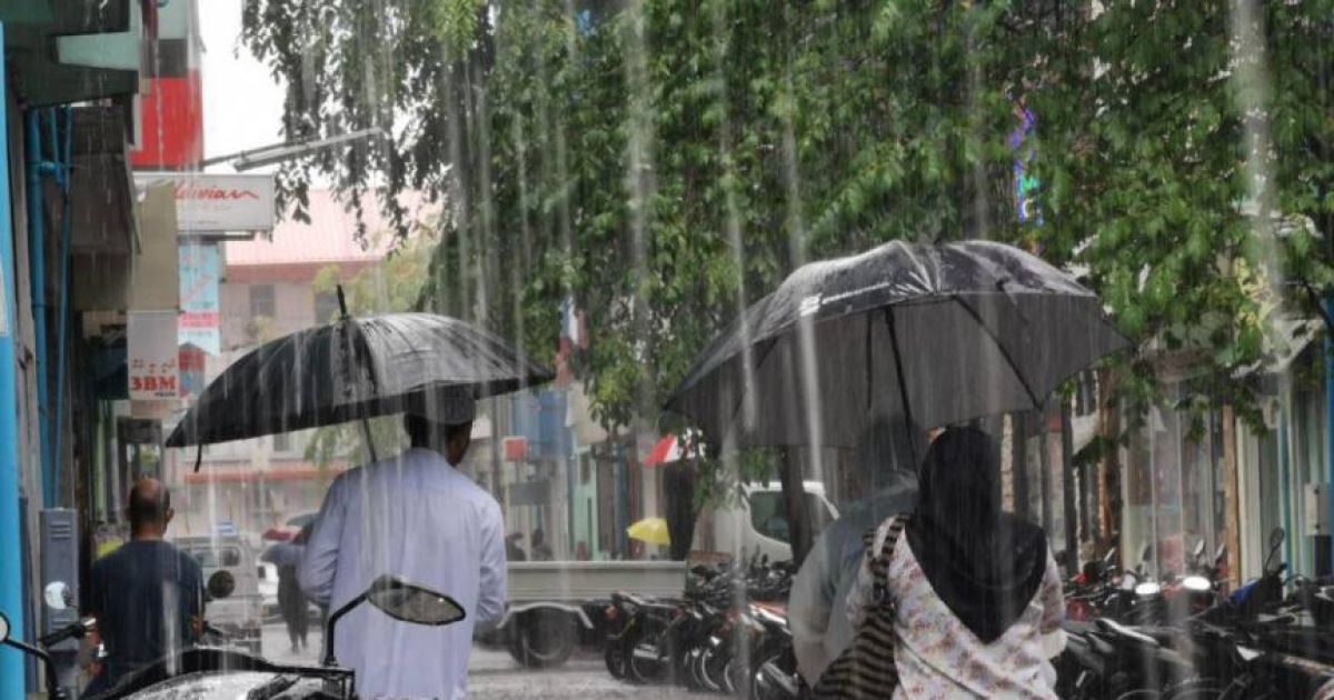 މިރޭވެސް ބޮޑު ސަރަހައްދަކަށް ހުދު ސަމާލު ނެރެފި