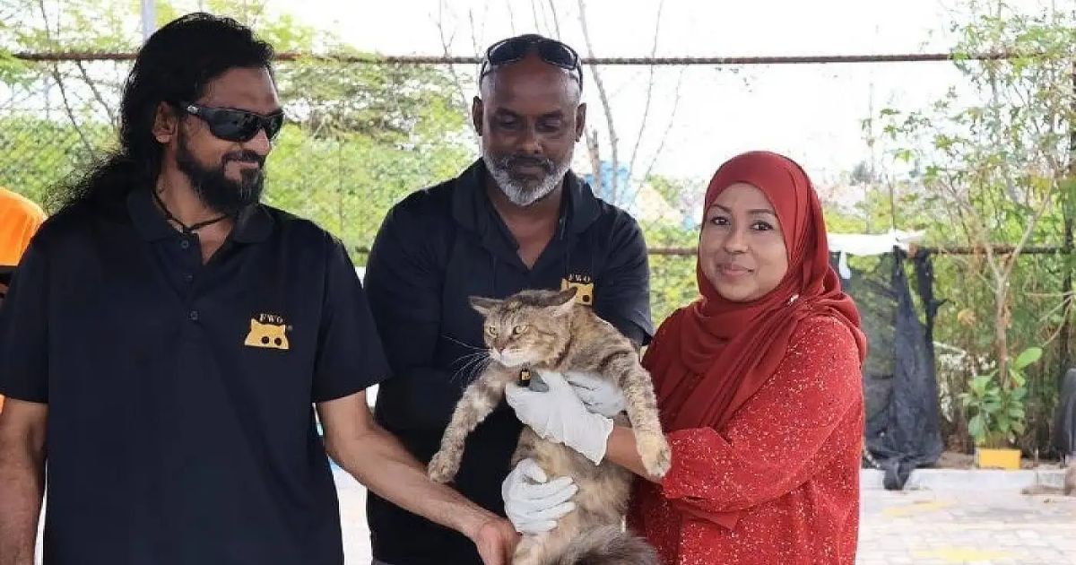 މާލޭގައި އުޅޭ ބުޅާތަކަށް ބޭސްދީ، ރަޖިސްޓްރީކުރަން ފަށައިފި