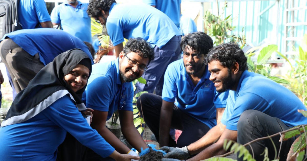 ތިމާވެށީގެ ދުވަސް ފާހަގަކުރަން ސްޓެލްކޯ މުވައްޒަފުން ގަސް އިންދަނީ