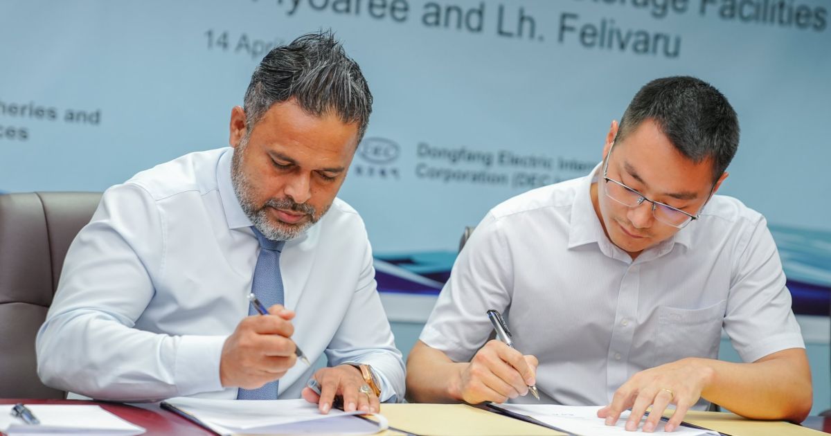 3 ސަރަހައްދެއްގައި މަސް ކާރުހާނާ އަޅަން ޗައިނާ ކުންފުންޏަކަށް